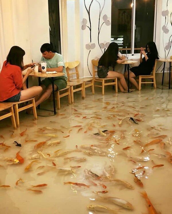 I Read That There's a Fish Cafe in Vietnam and I've Got