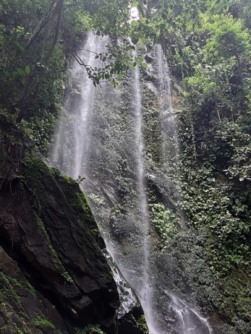 10 Pictures Of Erin-Ijesha Waterfalls That Will Blow Your Mind | Zikoko!