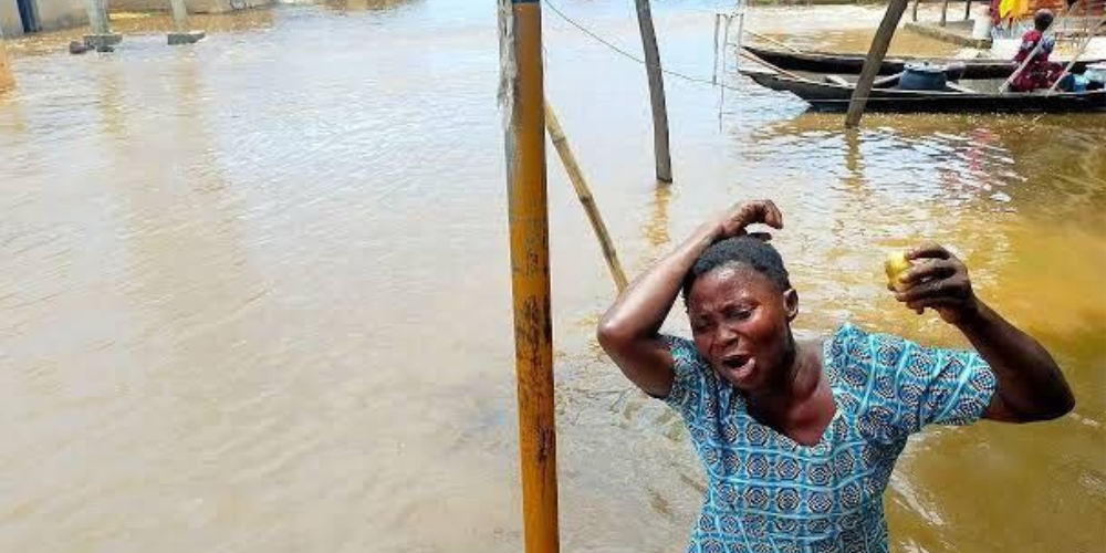 Gololo residents cry for help as flood sacks community, destroys farmlands  - Daily Post Nigeria