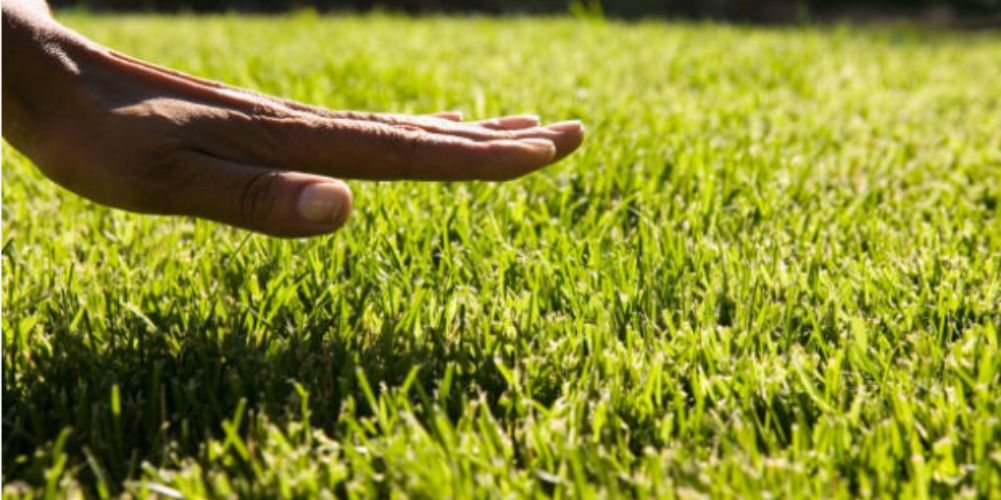 QUIZ: When Last Did You Touch Grass?