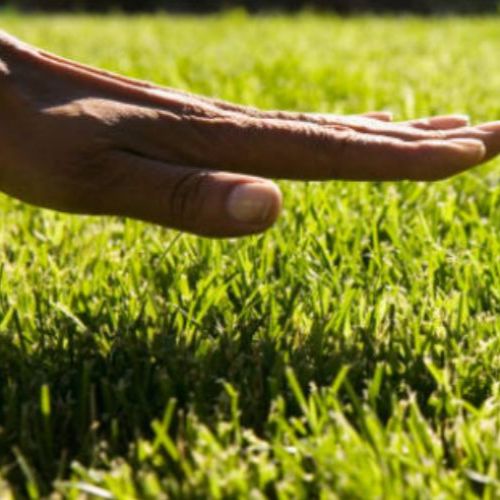 Go Touch Grass: The Healthy Aspect of Being Outside