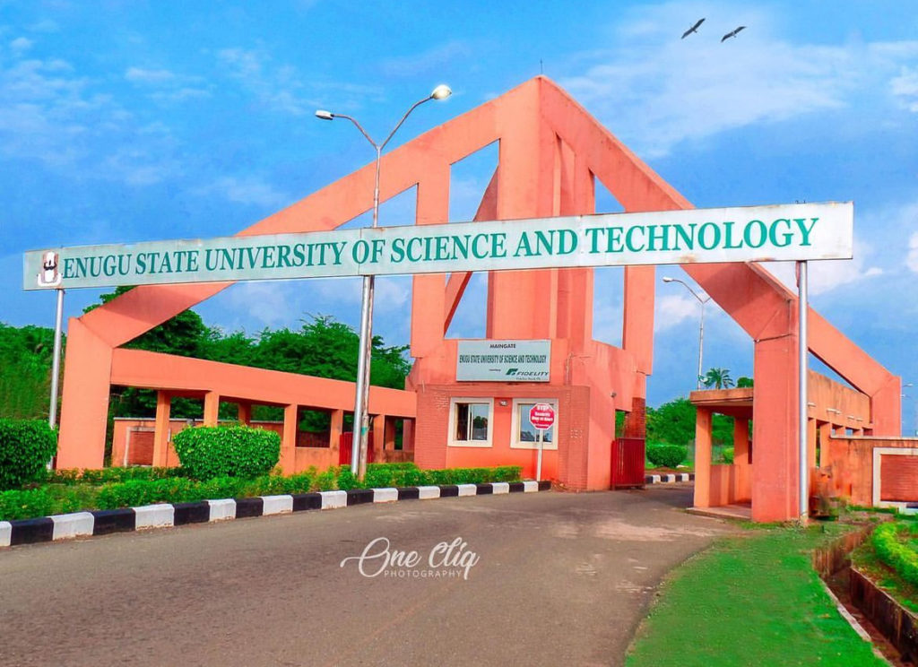 We Ranked The Main Gate of 13 Nigerian Universities